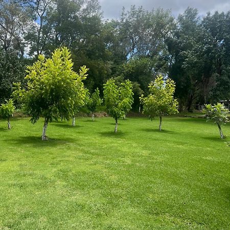 Cabanas Cumbres De Aguacatitla Huasca de Ocampo Dış mekan fotoğraf