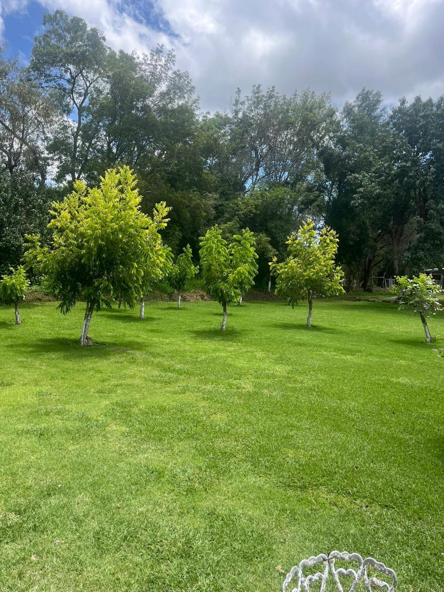 Cabanas Cumbres De Aguacatitla Huasca de Ocampo Dış mekan fotoğraf