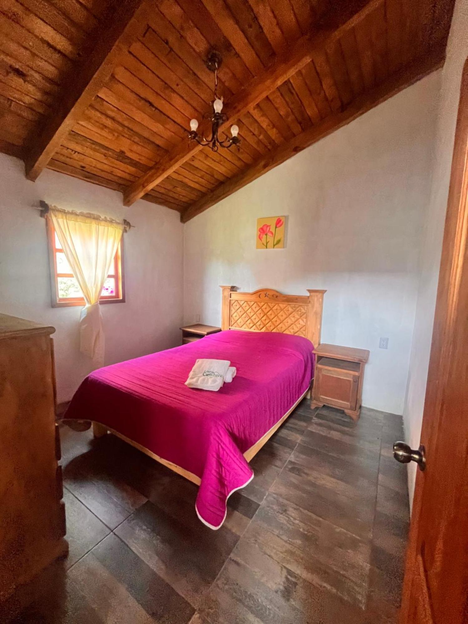 Cabanas Cumbres De Aguacatitla Huasca de Ocampo Oda fotoğraf