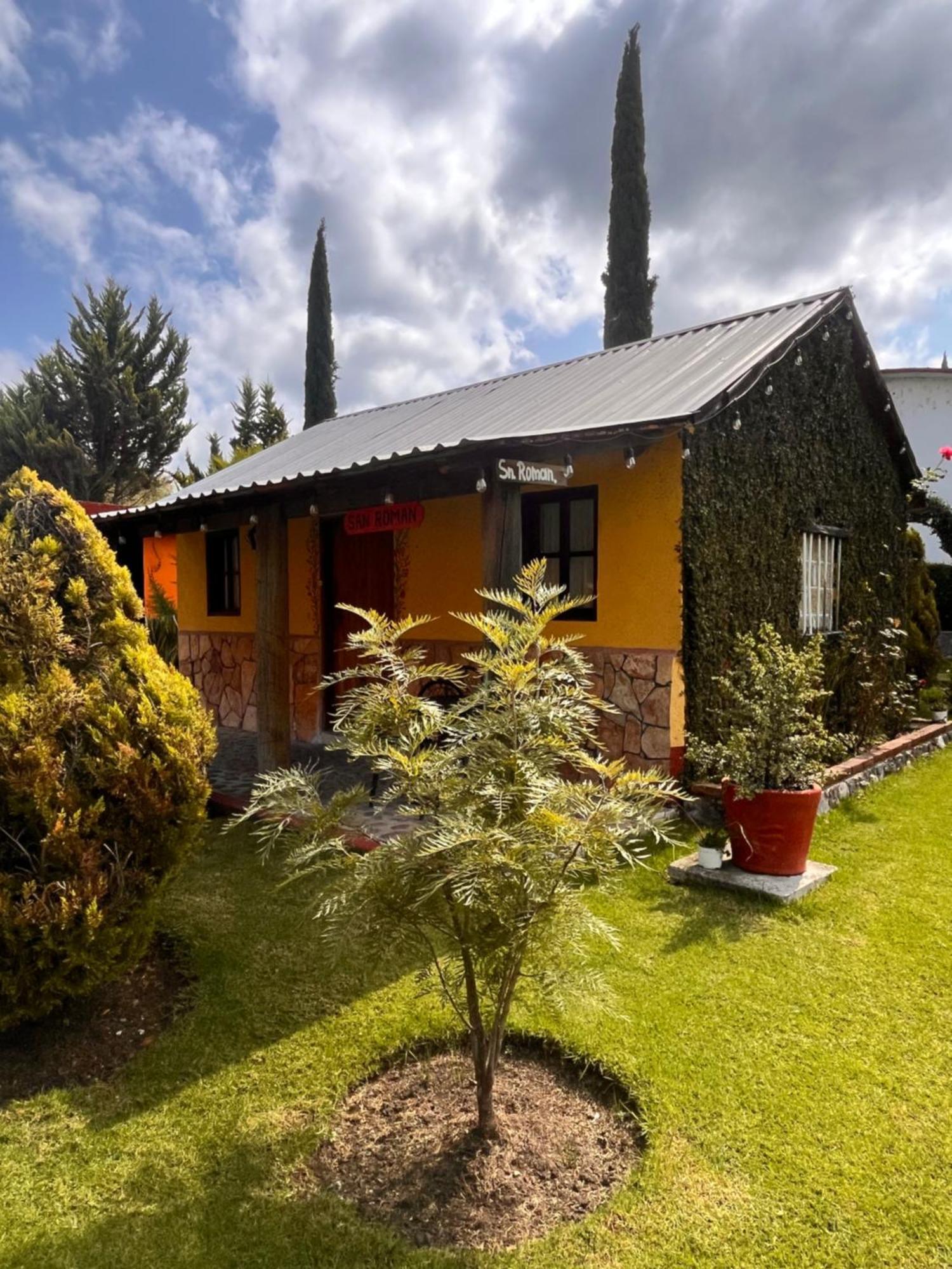 Cabanas Cumbres De Aguacatitla Huasca de Ocampo Dış mekan fotoğraf