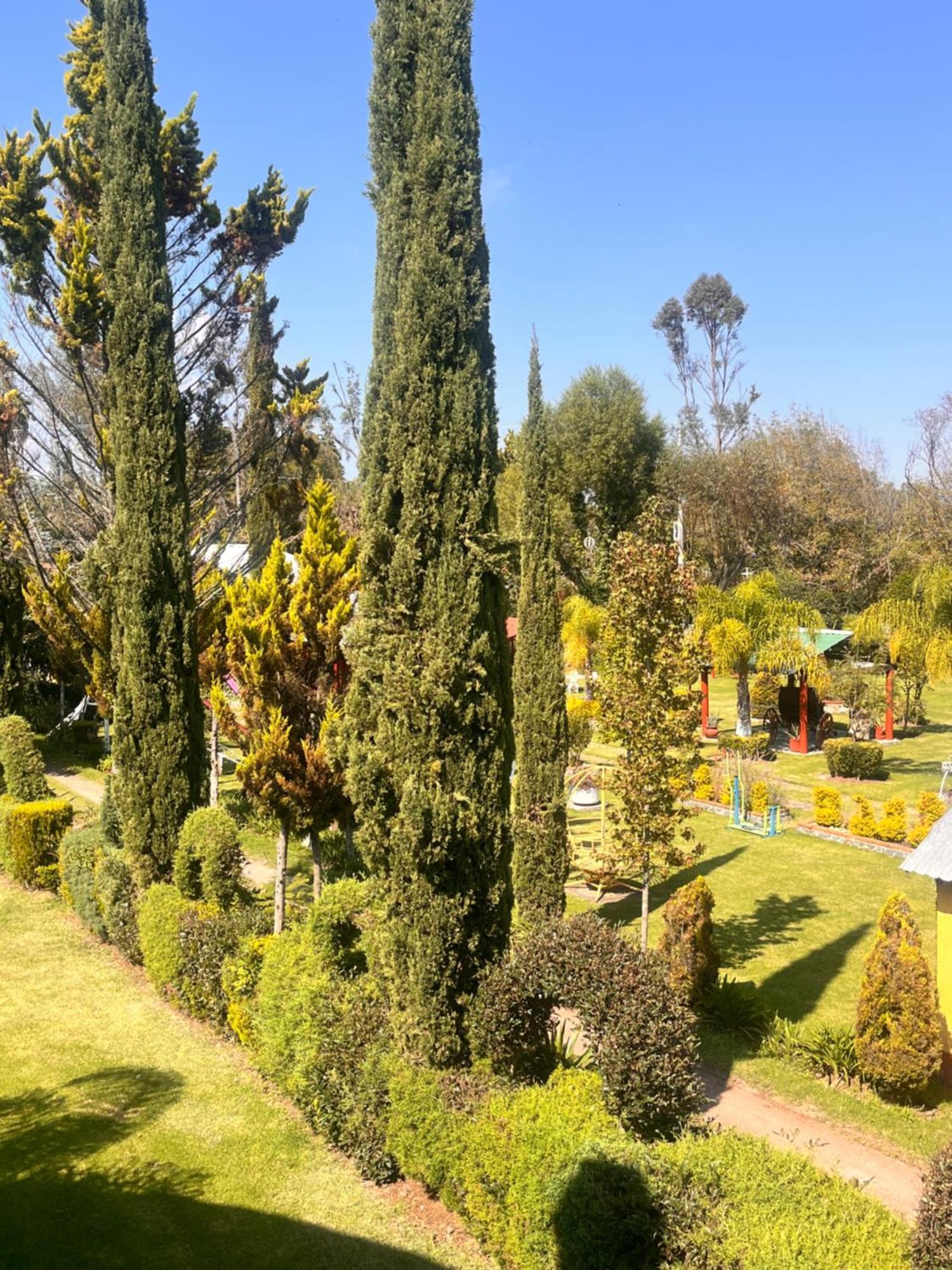 Cabanas Cumbres De Aguacatitla Huasca de Ocampo Dış mekan fotoğraf