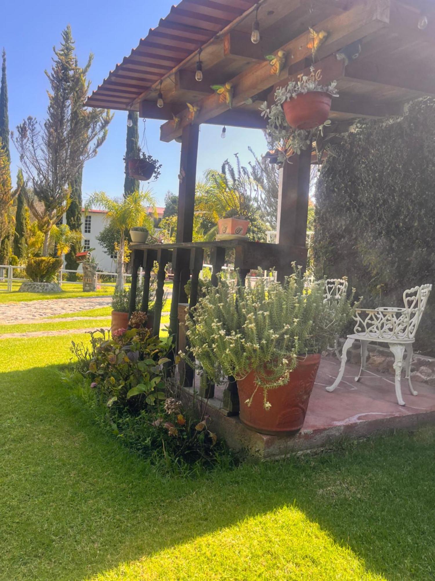 Cabanas Cumbres De Aguacatitla Huasca de Ocampo Dış mekan fotoğraf
