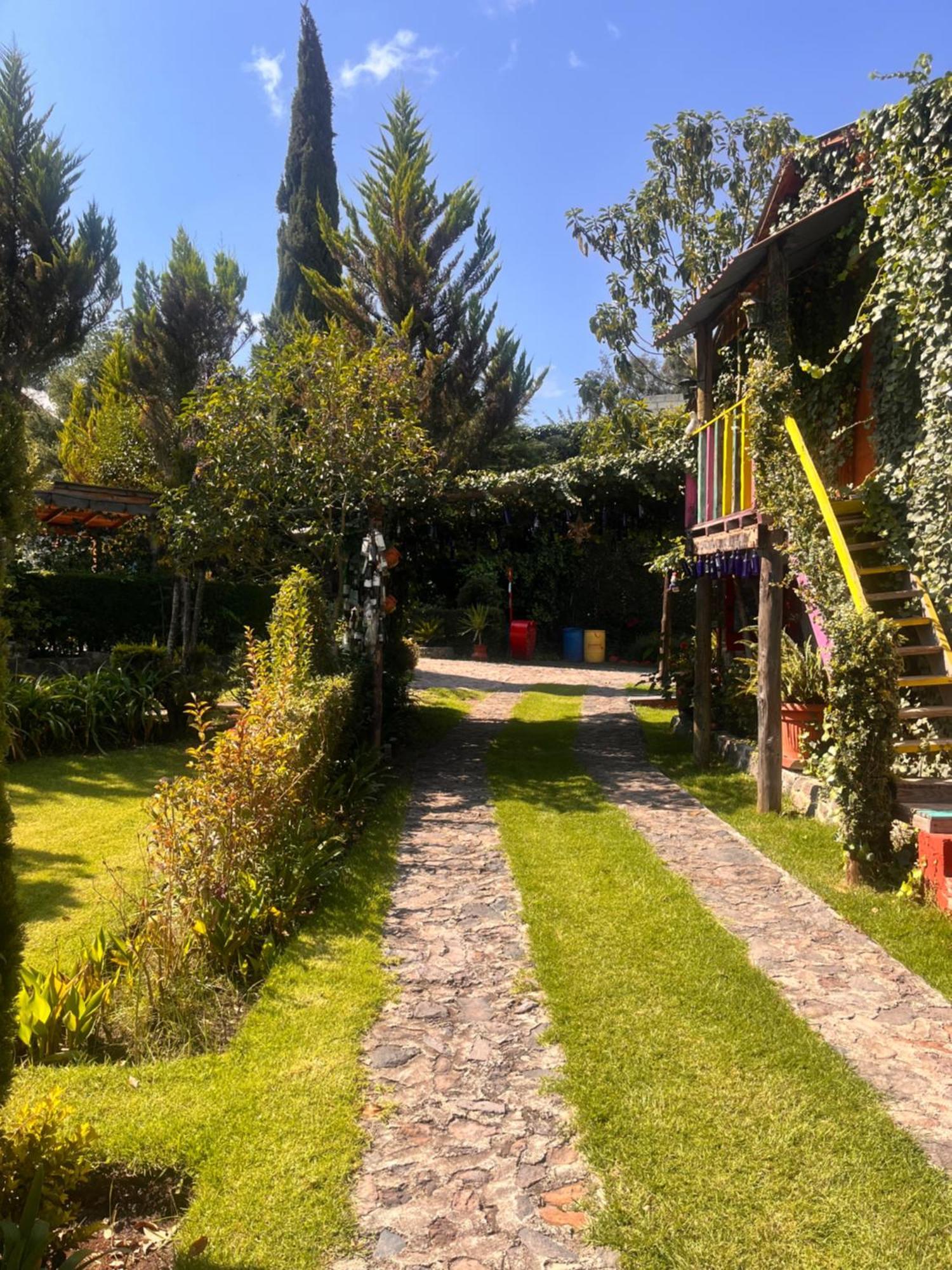 Cabanas Cumbres De Aguacatitla Huasca de Ocampo Dış mekan fotoğraf