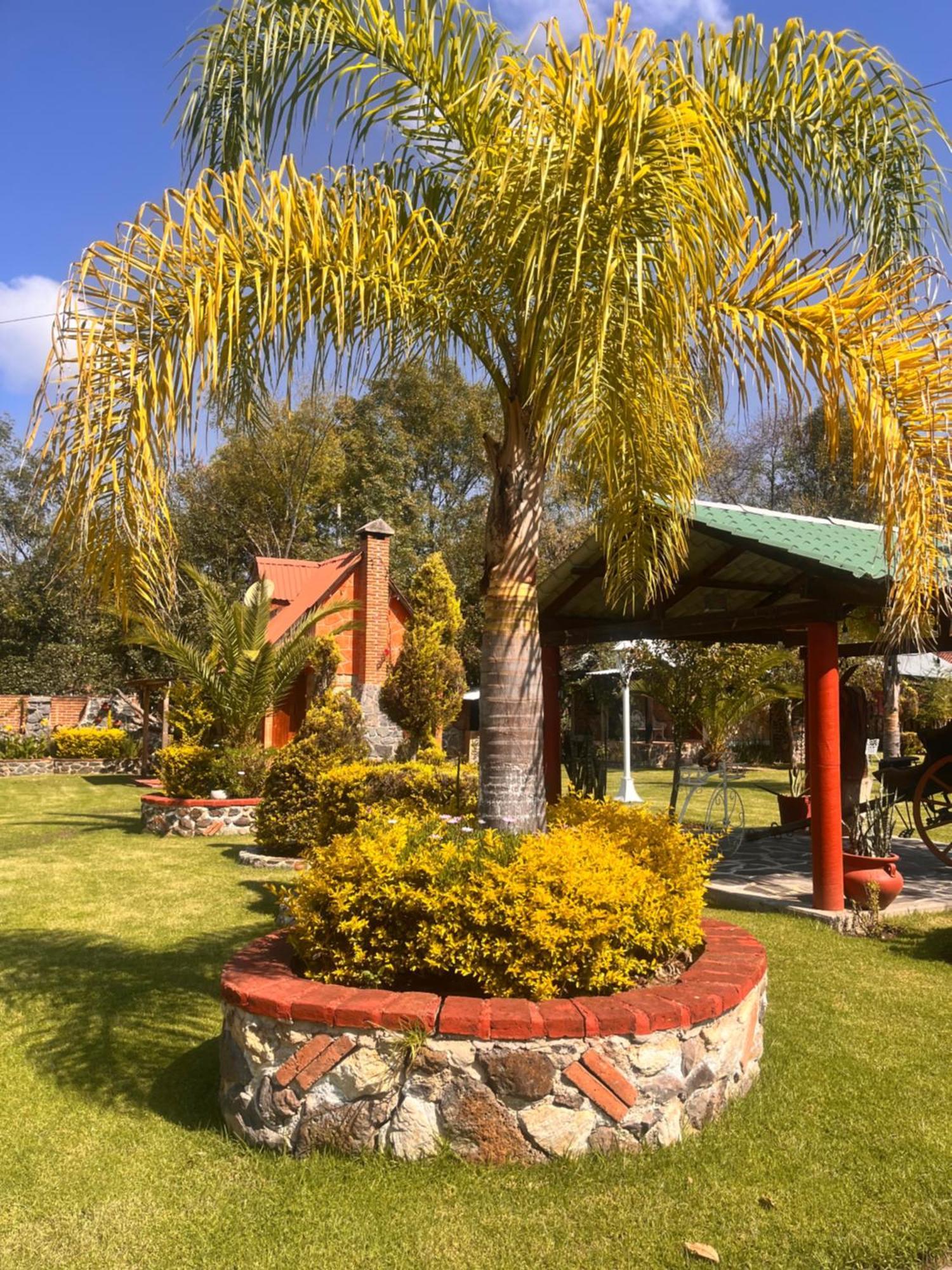 Cabanas Cumbres De Aguacatitla Huasca de Ocampo Dış mekan fotoğraf