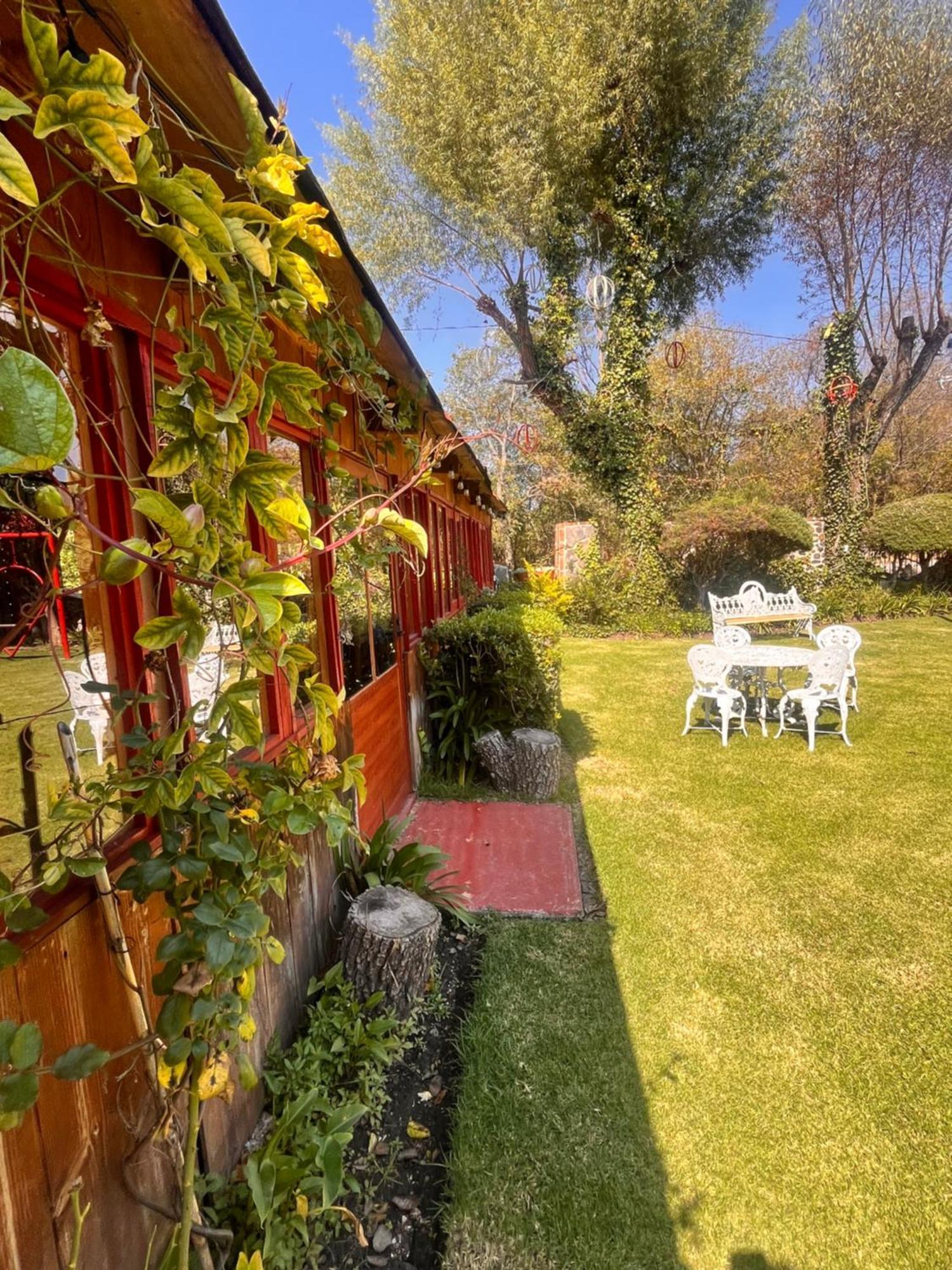 Cabanas Cumbres De Aguacatitla Huasca de Ocampo Dış mekan fotoğraf