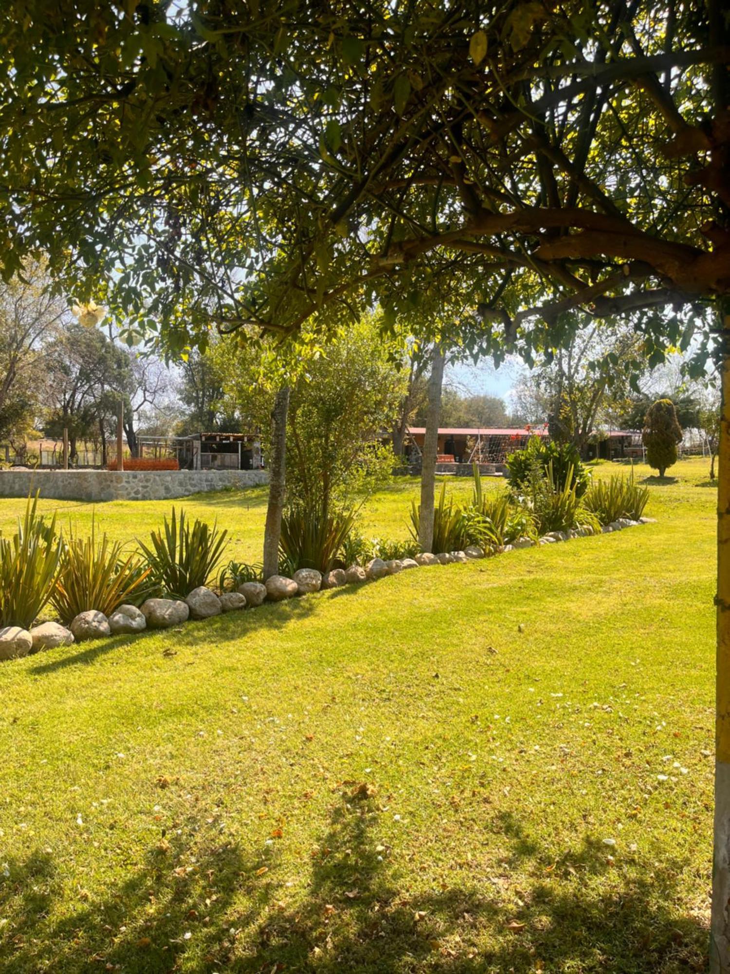 Cabanas Cumbres De Aguacatitla Huasca de Ocampo Dış mekan fotoğraf