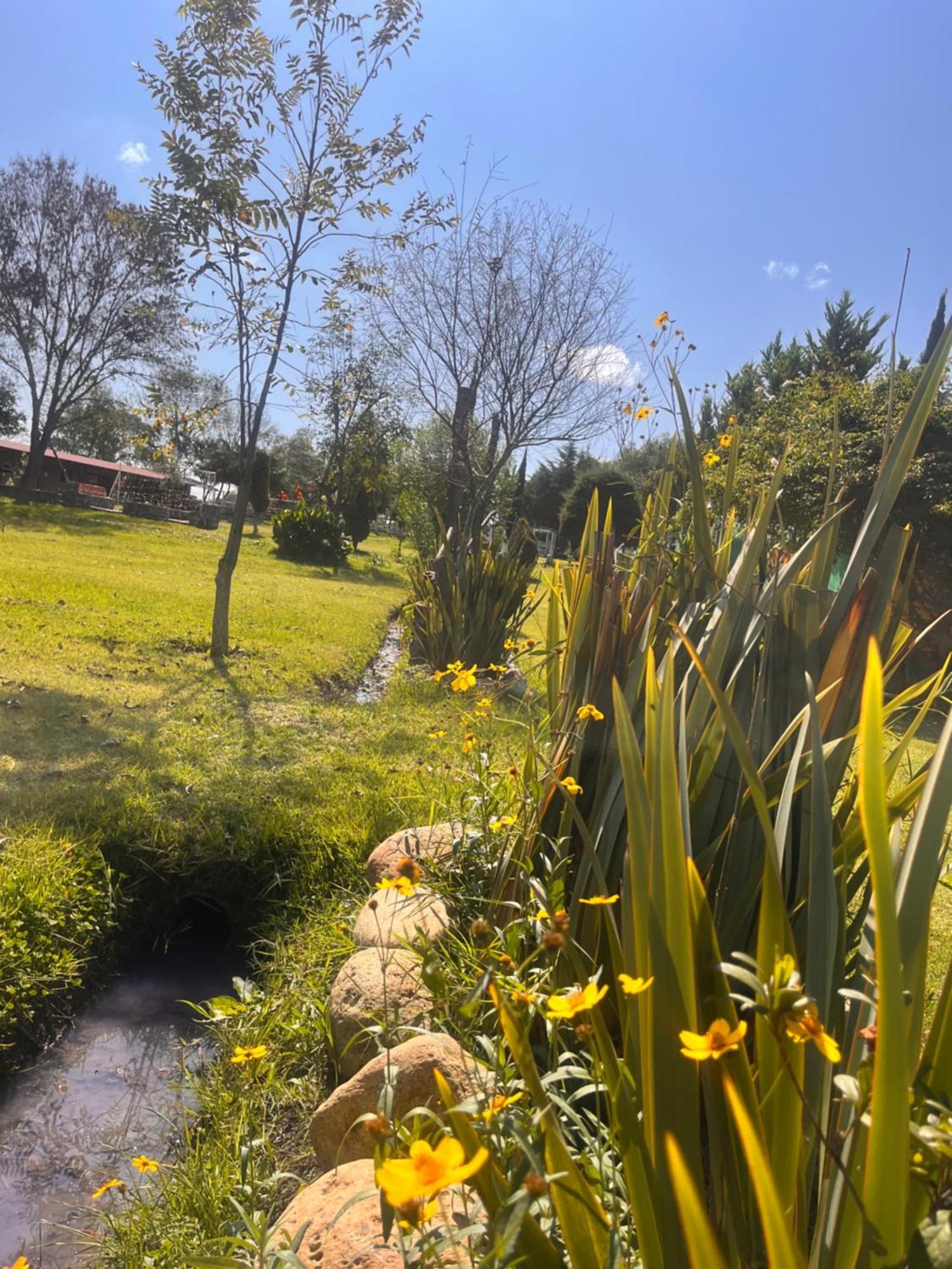 Cabanas Cumbres De Aguacatitla Huasca de Ocampo Dış mekan fotoğraf
