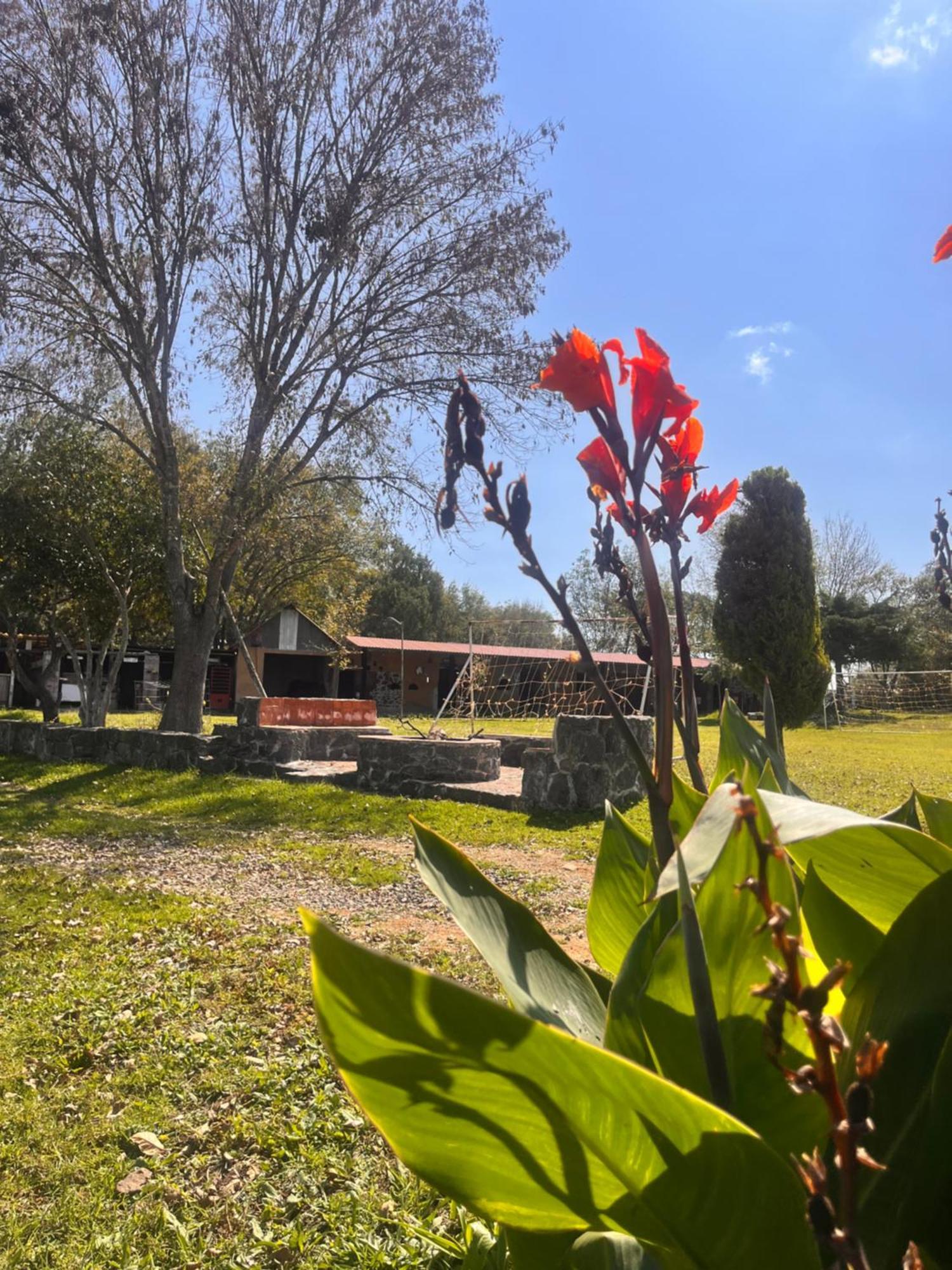 Cabanas Cumbres De Aguacatitla Huasca de Ocampo Dış mekan fotoğraf