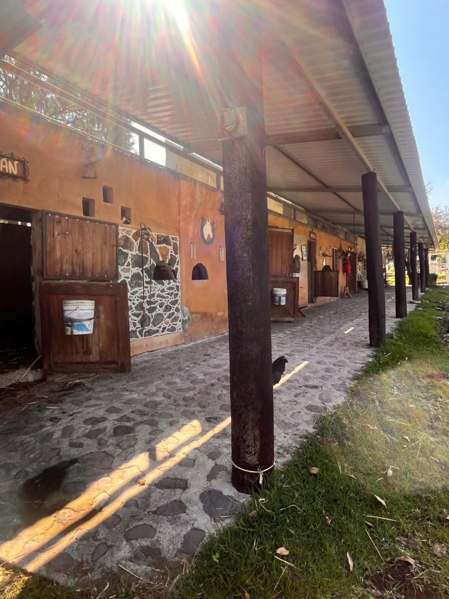 Cabanas Cumbres De Aguacatitla Huasca de Ocampo Dış mekan fotoğraf