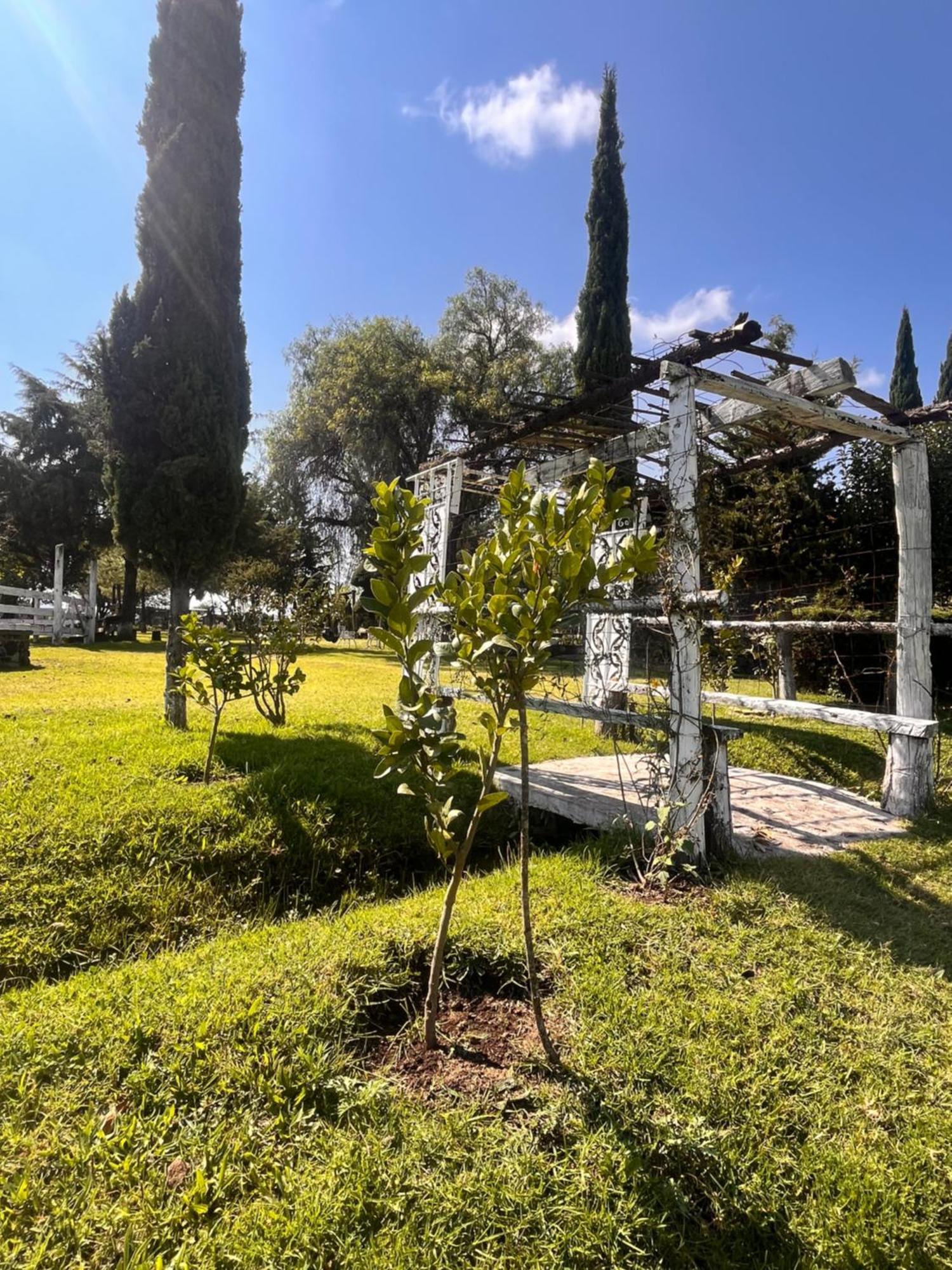 Cabanas Cumbres De Aguacatitla Huasca de Ocampo Dış mekan fotoğraf