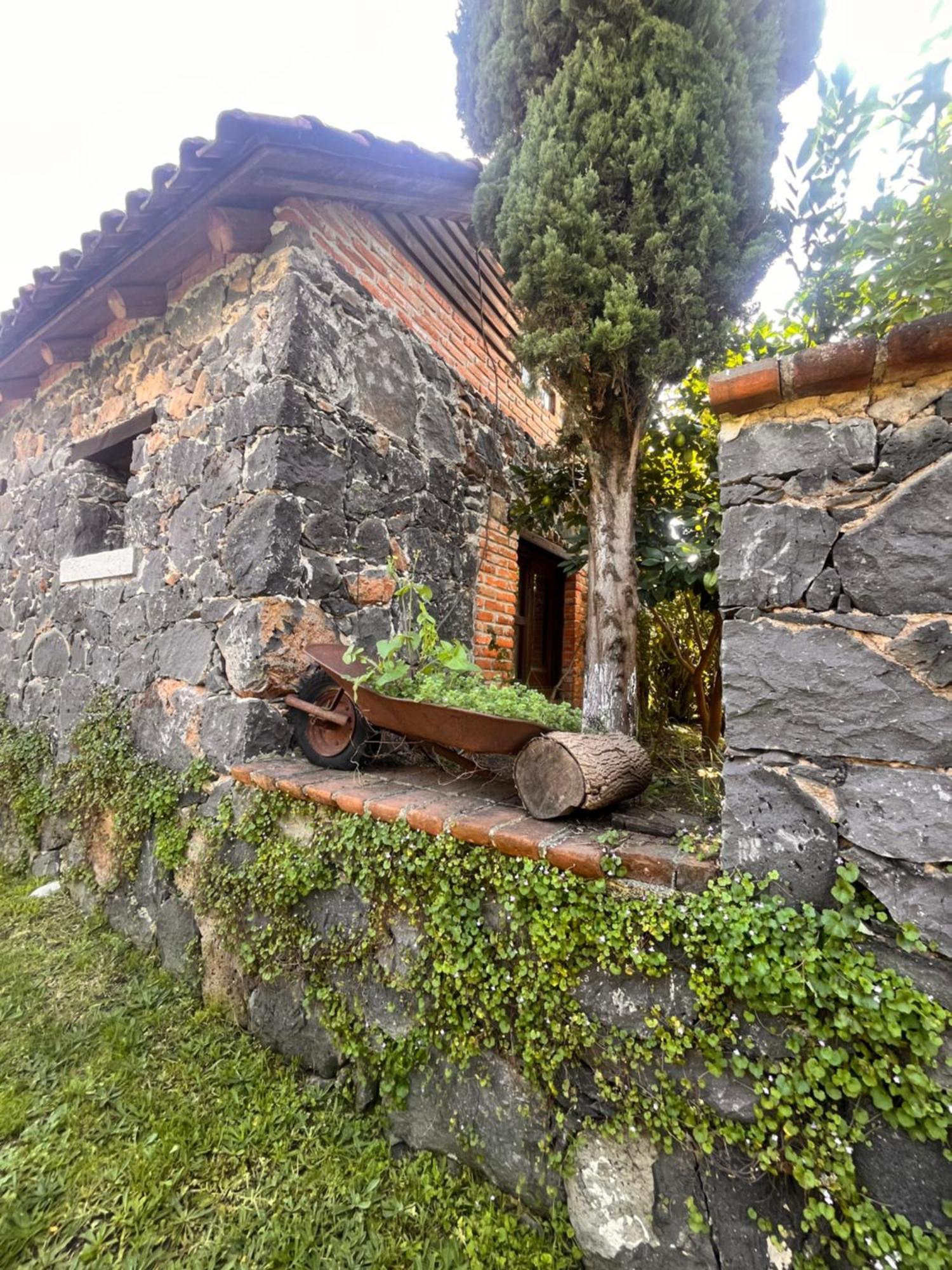 Cabanas Cumbres De Aguacatitla Huasca de Ocampo Dış mekan fotoğraf