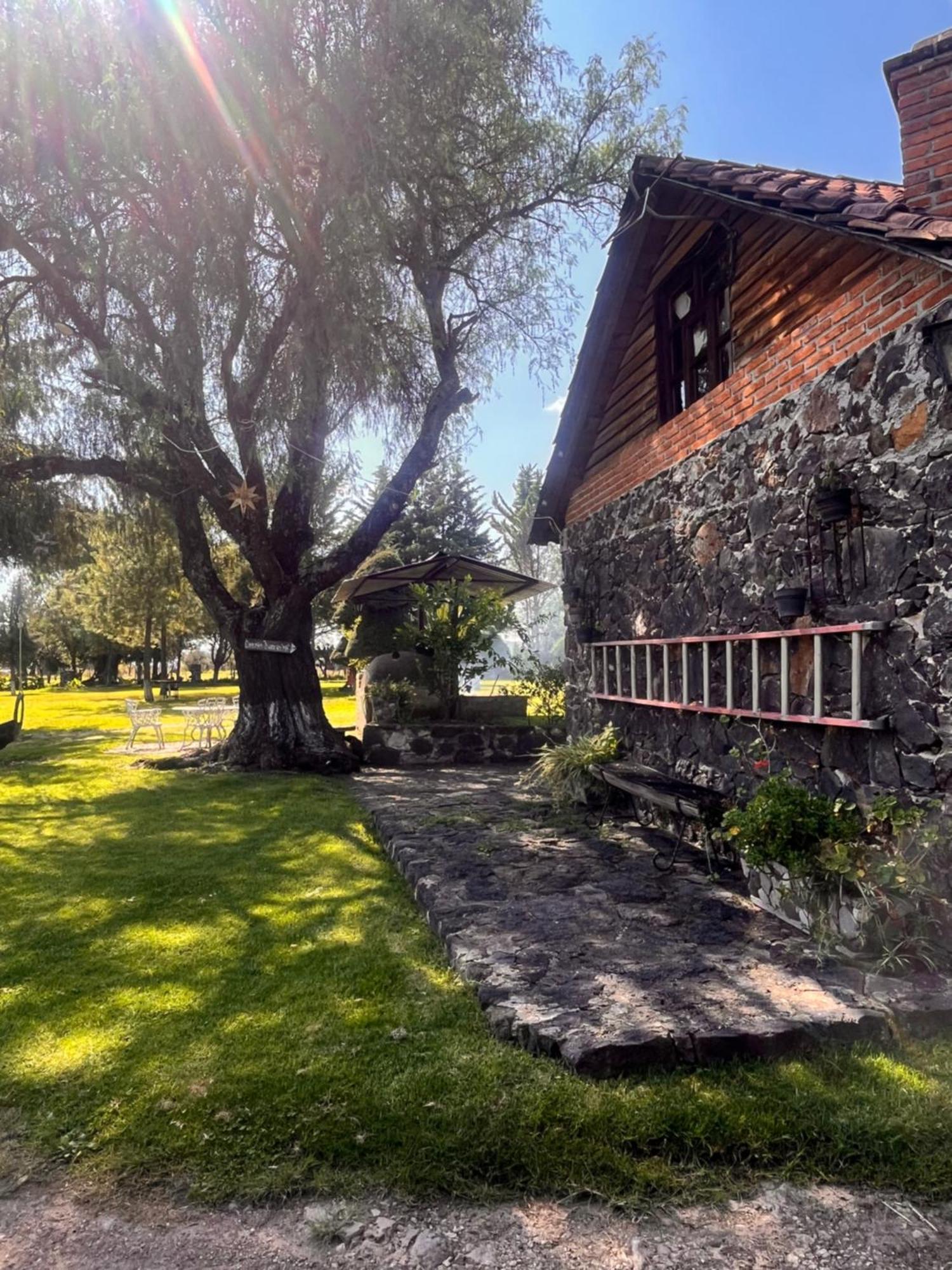 Cabanas Cumbres De Aguacatitla Huasca de Ocampo Dış mekan fotoğraf