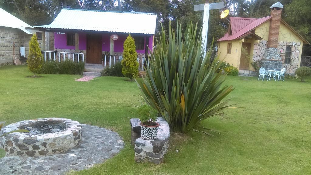 Cabanas Cumbres De Aguacatitla Villa Huasca de Ocampo Dış mekan fotoğraf